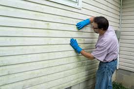 Best Vinyl Siding Installation  in Sur Hill, GA